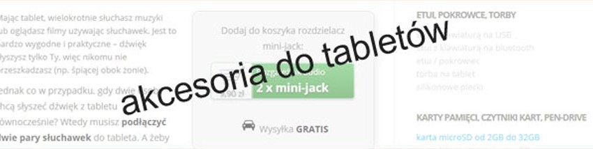 Akcesoria do tabletów w sklepie tabletoid.pl: zaczynamy