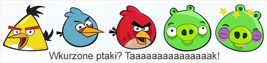 Co to jest Angry Birds?